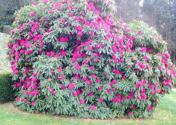 Летний дом Casa Veigas *