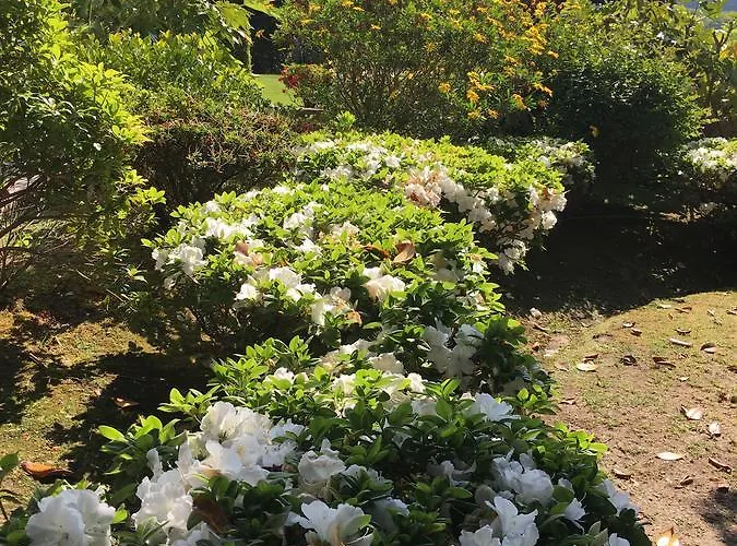 Casa Veigas * Абегондо